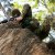 Czech Airsoft Pictures