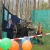 First skirm in holland