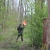 First skirm in holland